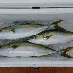 火遠理丸（ほおりまる） 釣果