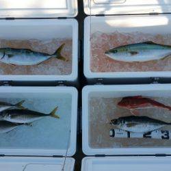 火遠理丸（ほおりまる） 釣果