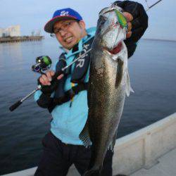 TOPGUN名古屋 釣果