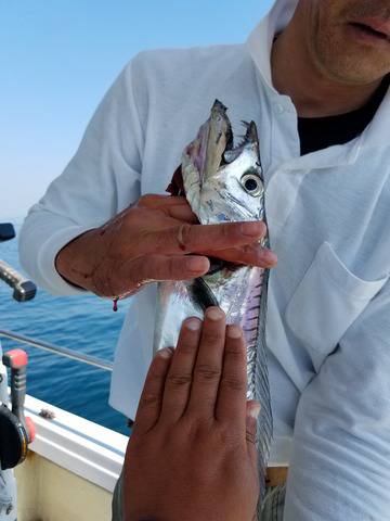 遊漁船 ニライカナイ 釣果