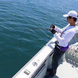 スカイマリン 釣果