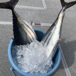 へいみつ丸 釣果