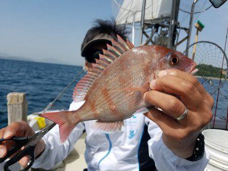 遊漁船　ニライカナイ 釣果