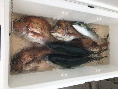 龍宮丸 釣果