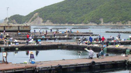 淡路じゃのひれフィッシングパーク 釣果