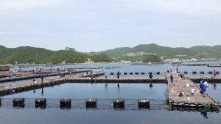 淡路じゃのひれフィッシングパーク 釣果