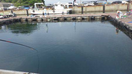 淡路じゃのひれフィッシングパーク 釣果
