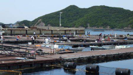 淡路じゃのひれフィッシングパーク 釣果