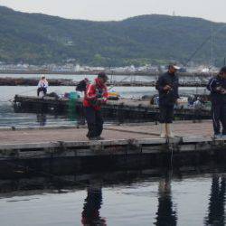 淡路じゃのひれフィッシングパーク 釣果