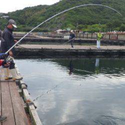 淡路じゃのひれフィッシングパーク 釣果