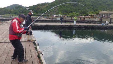 淡路じゃのひれフィッシングパーク 釣果