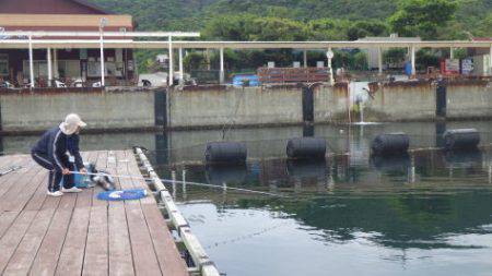 淡路じゃのひれフィッシングパーク 釣果