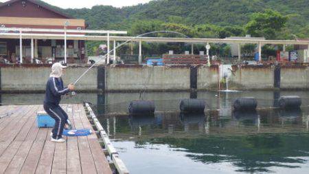 淡路じゃのひれフィッシングパーク 釣果