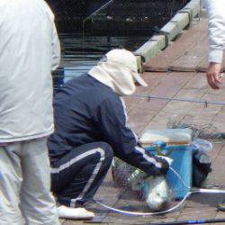 淡路じゃのひれフィッシングパーク 釣果