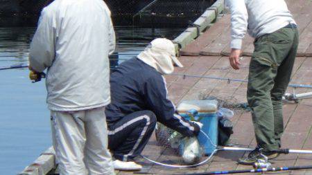 淡路じゃのひれフィッシングパーク 釣果