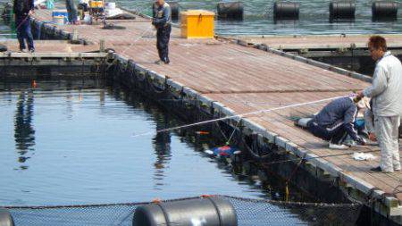 淡路じゃのひれフィッシングパーク 釣果