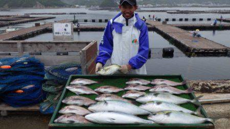 淡路じゃのひれフィッシングパーク 釣果
