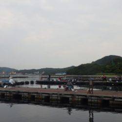 淡路じゃのひれフィッシングパーク 釣果