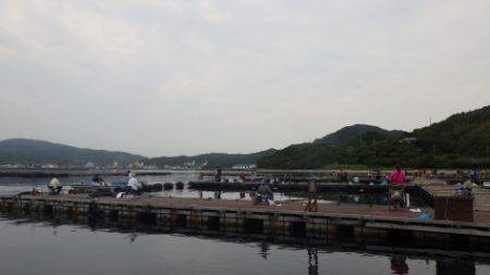 淡路じゃのひれフィッシングパーク 釣果