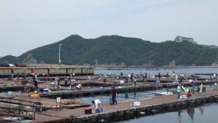 淡路じゃのひれフィッシングパーク 釣果