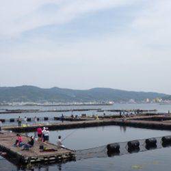 淡路じゃのひれフィッシングパーク 釣果