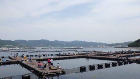 淡路じゃのひれフィッシングパーク 釣果