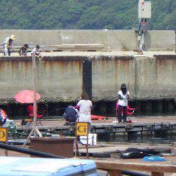 淡路じゃのひれフィッシングパーク 釣果