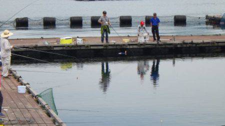 淡路じゃのひれフィッシングパーク 釣果