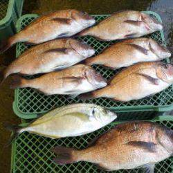 淡路じゃのひれフィッシングパーク 釣果