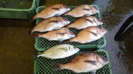 淡路じゃのひれフィッシングパーク 釣果