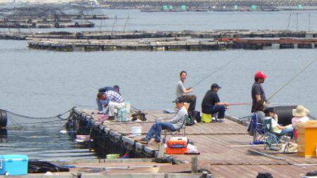 淡路じゃのひれフィッシングパーク 釣果