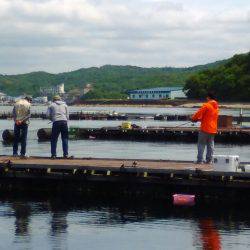 淡路じゃのひれフィッシングパーク 釣果