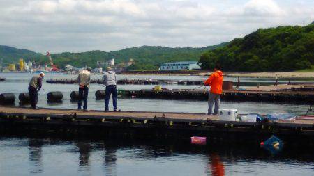 淡路じゃのひれフィッシングパーク 釣果