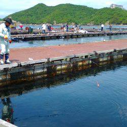 淡路じゃのひれフィッシングパーク 釣果