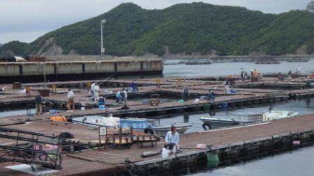 淡路じゃのひれフィッシングパーク 釣果
