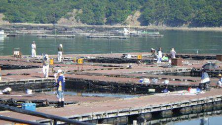 淡路じゃのひれフィッシングパーク 釣果