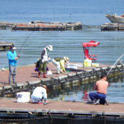 淡路じゃのひれフィッシングパーク 釣果