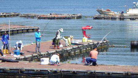 淡路じゃのひれフィッシングパーク 釣果