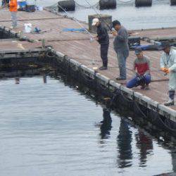 淡路じゃのひれフィッシングパーク 釣果