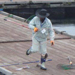 淡路じゃのひれフィッシングパーク 釣果