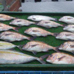淡路じゃのひれフィッシングパーク 釣果