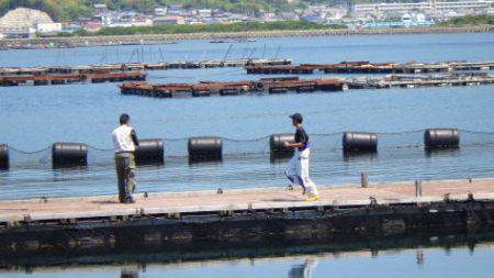 淡路じゃのひれフィッシングパーク 釣果