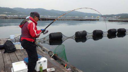 淡路じゃのひれフィッシングパーク 釣果