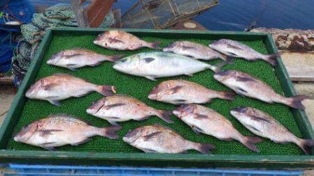 淡路じゃのひれフィッシングパーク 釣果
