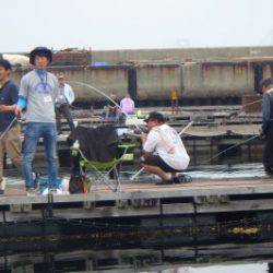 淡路じゃのひれフィッシングパーク 釣果