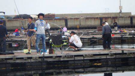 淡路じゃのひれフィッシングパーク 釣果