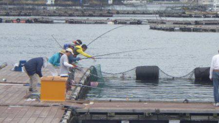 淡路じゃのひれフィッシングパーク 釣果
