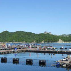 淡路じゃのひれフィッシングパーク 釣果