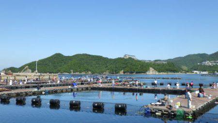 淡路じゃのひれフィッシングパーク 釣果