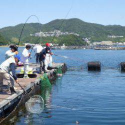 淡路じゃのひれフィッシングパーク 釣果